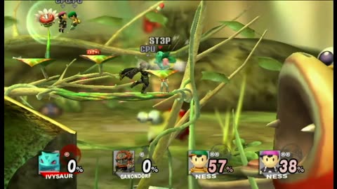 Super Smash Bros Brawl Battle210