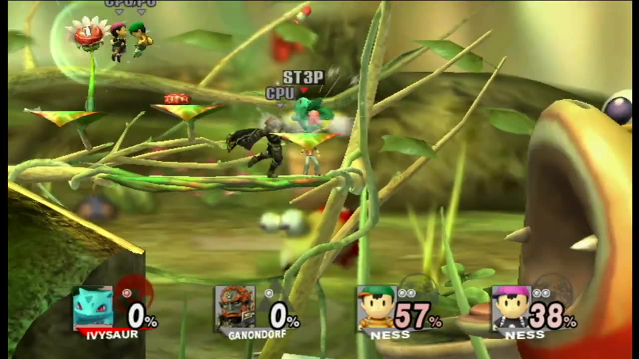 Super Smash Bros Brawl Battle210