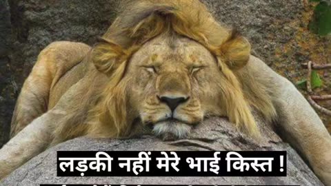 Sher