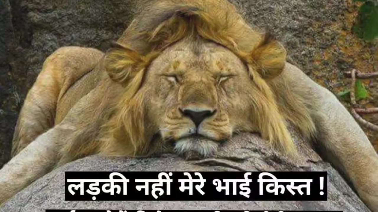Sher