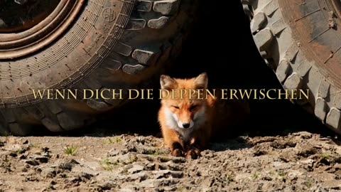 Cruxxx - Sparfuchs (Prod. Cruxxx)