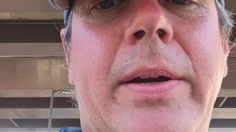 5 tray paper organizer