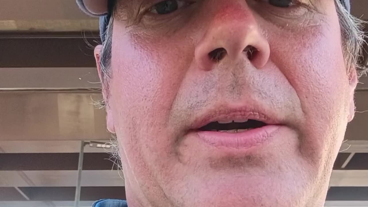 5 tray paper organizer