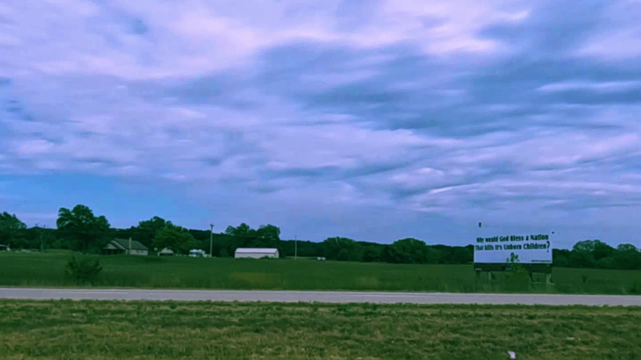 Found in the Wild for your Consideration (slo mo enhanced)