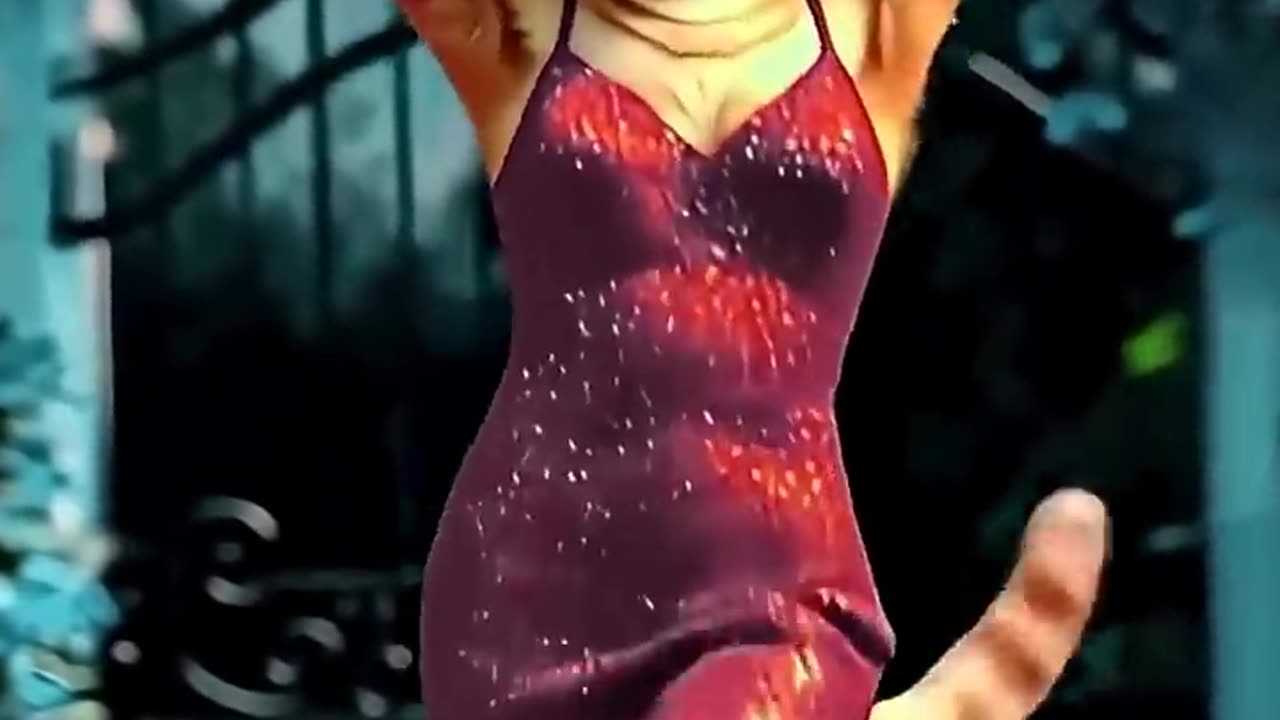 Funniest Cat Video/Funny Video