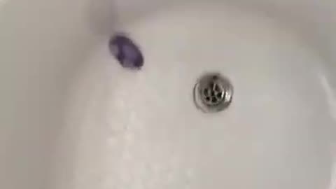 DON'T DROP THE SOAP in PRISON