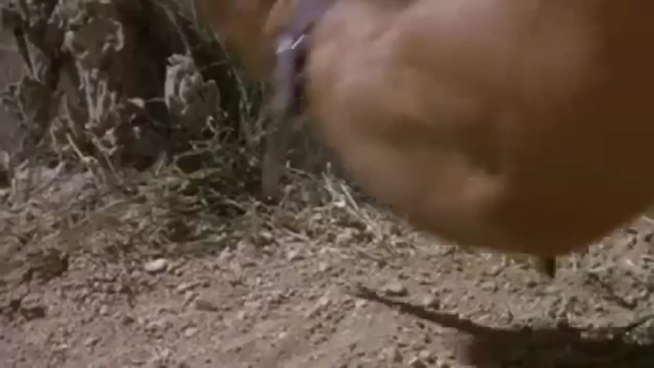 Danger