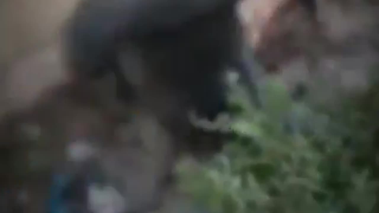 Hard to watch: This is how Hamas terrorists have been abusing