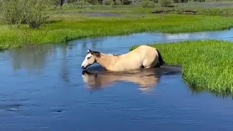 Me on a hot summer day