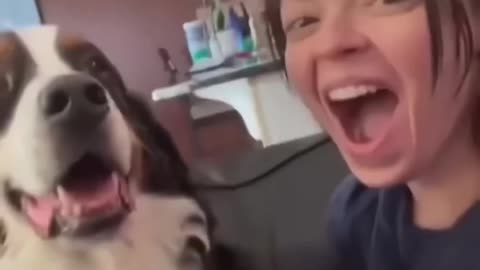 dog lover
