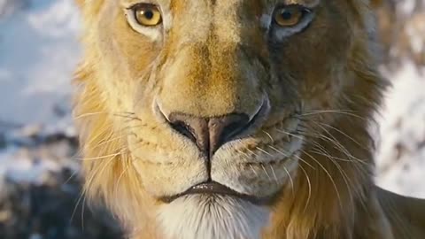 Mufasa 😍❤️ (Part - 57)....#reels #viralreels #reel #mufasa #animation #lastest #romantic #viralreel