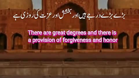 which hy momin