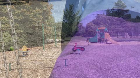Sunny Loop