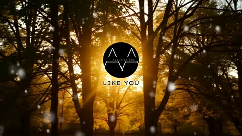 Like You - Adelfila Ana