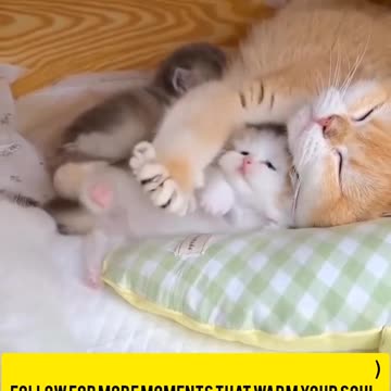 Cuddling Her Little Angel در آغوش کشیدن فرشته کوچولوش