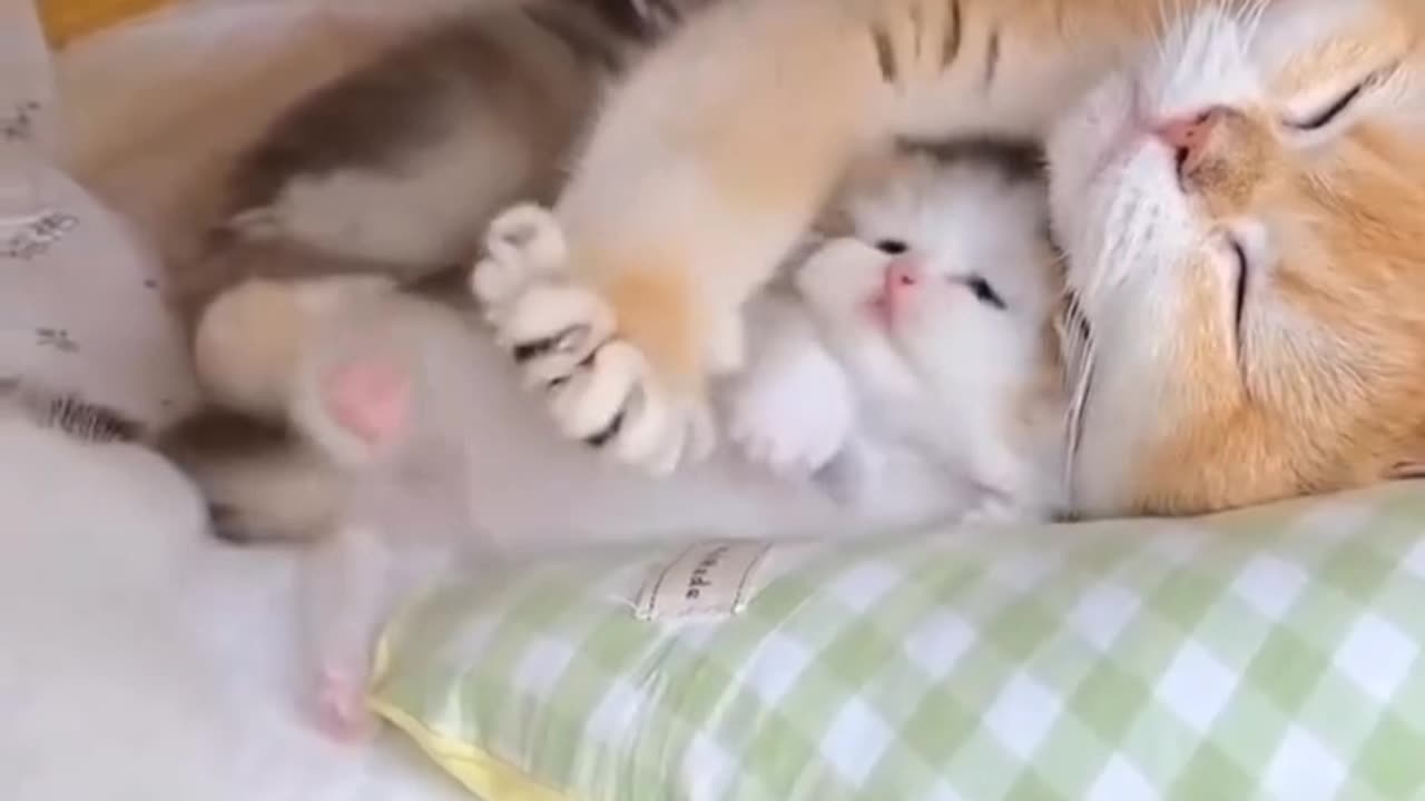 Cuddling Her Little Angel در آغوش کشیدن فرشته کوچولوش