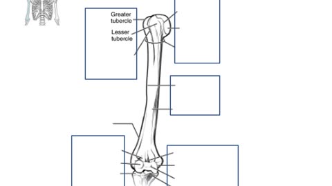 Practice identifying parts of the arm