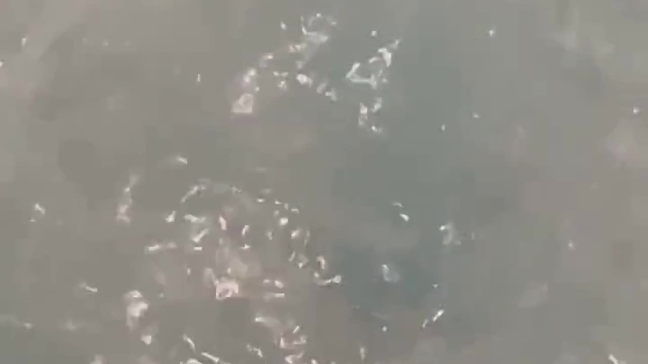 Jaws Bath Bomb