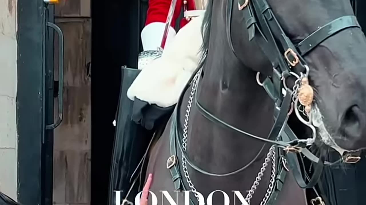 Fun video