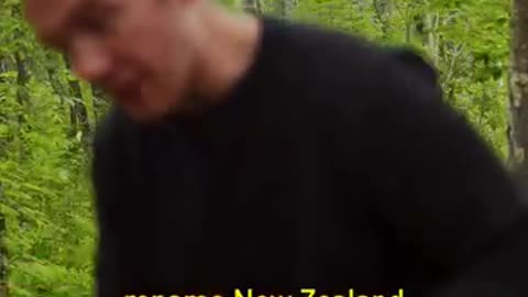 Shocking: Made from the most dangerous animal in New Zealand.