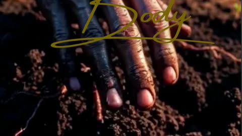 Unlock Physical Vitality: High-Performance Health for the Modern Hustle