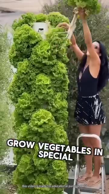 Another way to grow veggies