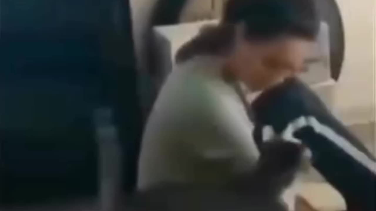 cats be humans