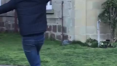viral video
