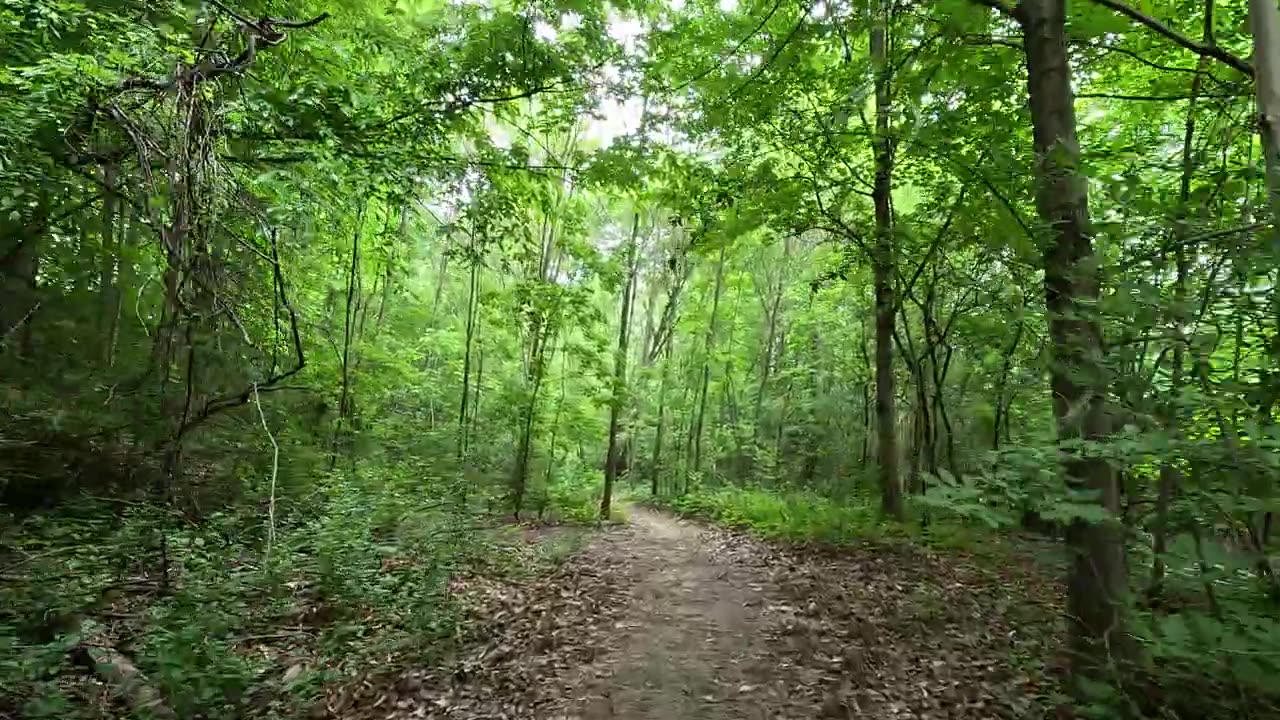 GTA park trail. Toronto Canada. Park in the city.