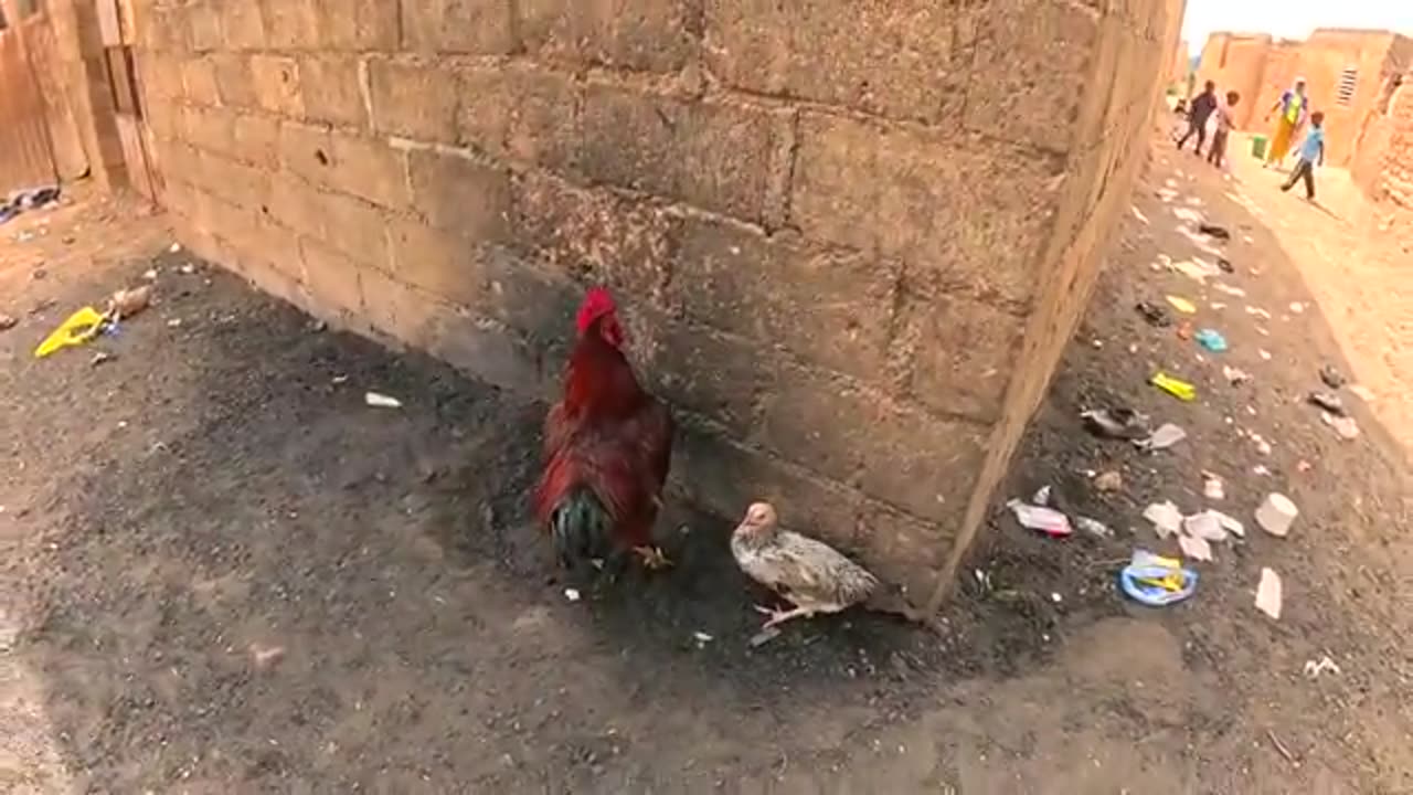 Burkina Faso, Ibrahim Traore