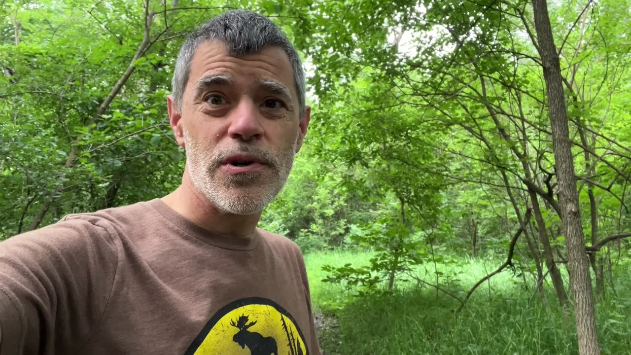 Would You like to Take Better Summer Photos?