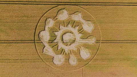 Crop Circle, 8 juin 2025, près de Falkner's Circle, Avebury, Wiltshire (4 km)