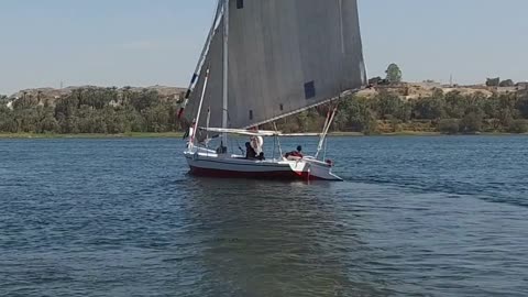 Felucca Ride by The Nile River!