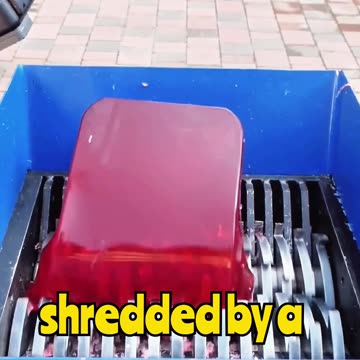 Shredding Red Jelly The Most Satisfying Thing You’ll See Today