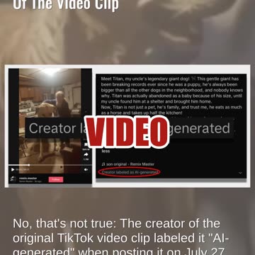 Fact Check: Titan The Giant Dog Is AI, NOT Real According To Creator Of The Video Clip