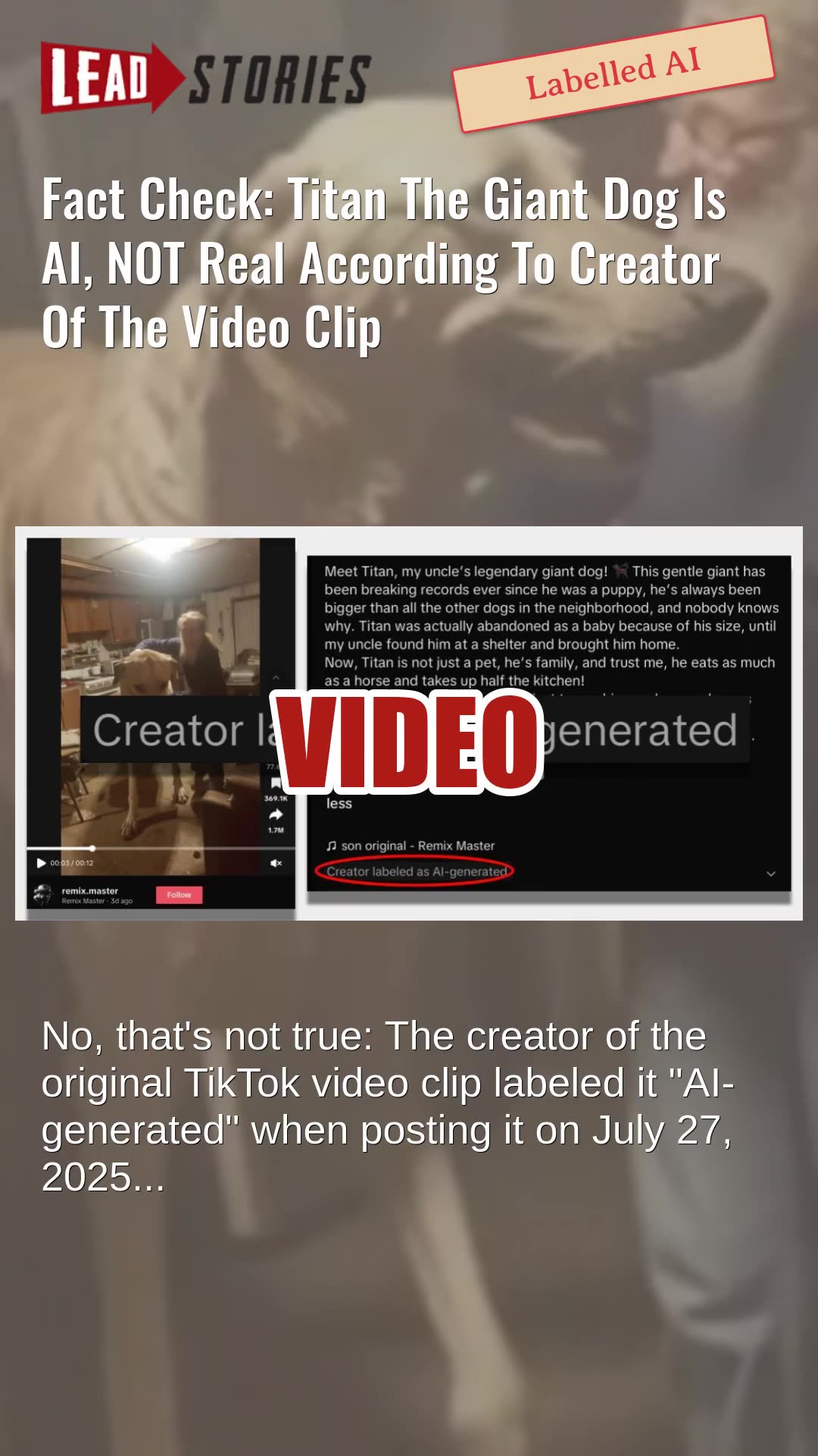 Fact Check: Titan The Giant Dog Is AI, NOT Real According To Creator Of The Video Clip