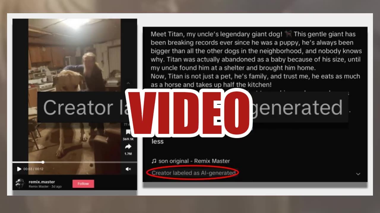 Fact Check: Titan The Giant Dog Is AI, NOT Real According To Creator Of The Video Clip