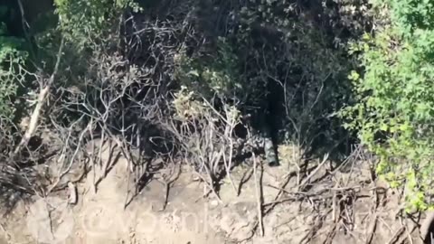 🛸🎯 Ukraine Russia War | Yakut Detachment 'Bootour' BARS-2 UAV Attack on Ukrainian Tank | RCF