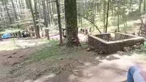 Whispers of the Hills