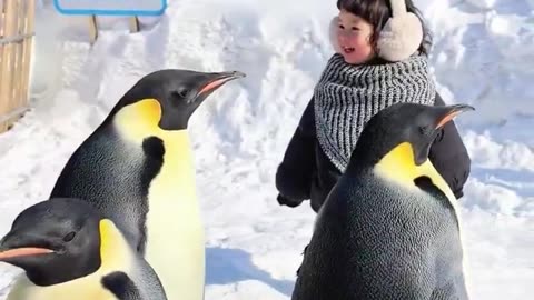 Do you like penguins 🐧🥰
