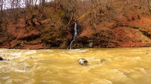 Enjoy the deep jazz music and watch the beauty of the beautiful stream, it's so beautiful P2