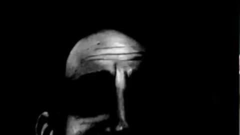 Guess Who? (Read Description)