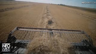 ALEX JONES - INFOWARS LIVE - ALEXJONES.NETWORK - THERE'S A WAR ON FOR YOUR MIND! ➡ THE ALEX JONES SHOW • THE AMERICAN JOURNAL WITH BREANNA MORELLO • WAR ROOM WITH HARRISON SMITH