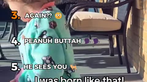 try not to laugh 😍😂