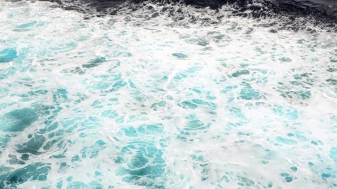 Pacific Ocean Cruise