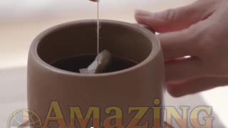 The Tea Bag Was an Accidental Invention in 1908? #teabag #history