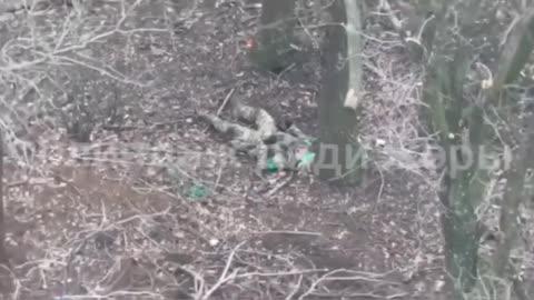 Pokrovskoe direction.