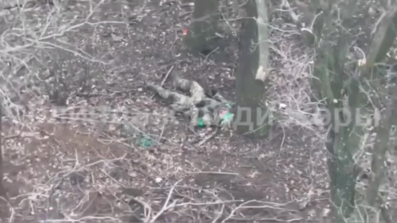 Pokrovskoe direction.