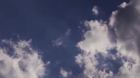Auction 0.mp4
