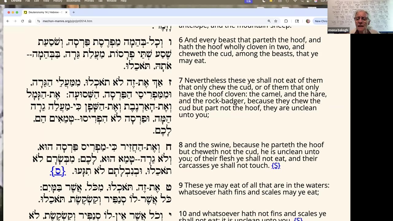 Parasha R'eyh: Deuteronomy 11:26-16:17
